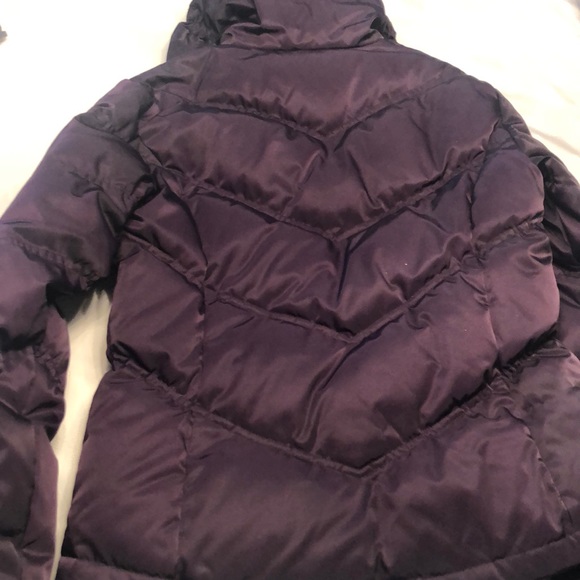 COPY - Calvin Klein jacket - eggplant - Picture 4 of 4